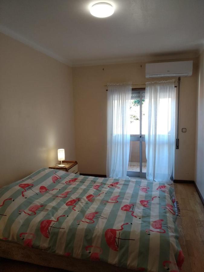 Apartment Solvita Coimbra